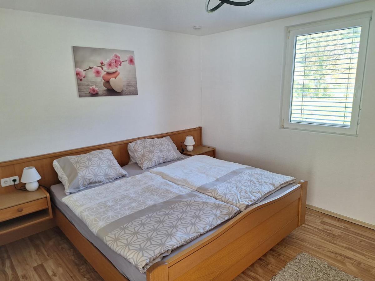 Apartment Rheintal Im Alpenvorland Batschuns Eksteriør bilde