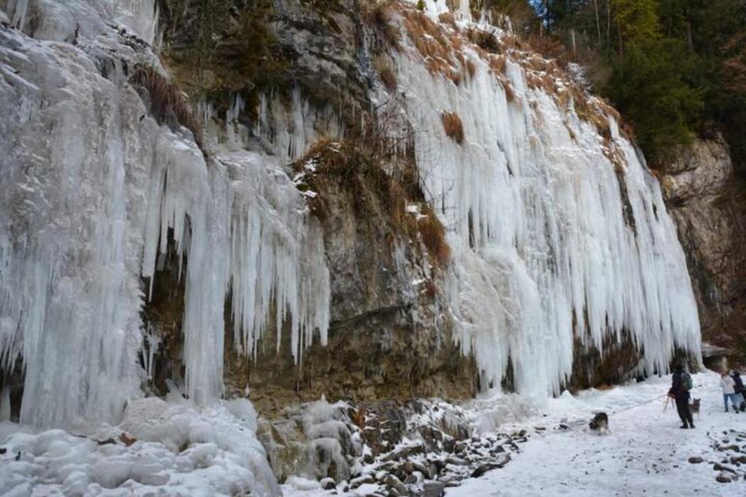 Apartment Rheintal Im Alpenvorland Batschuns Eksteriør bilde