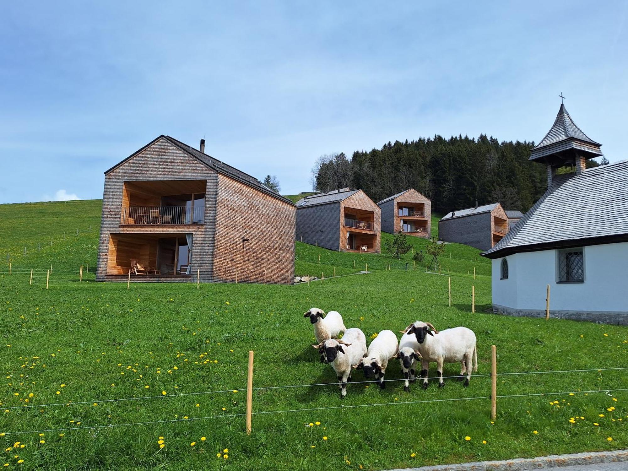 Apartment Rheintal Im Alpenvorland Batschuns Eksteriør bilde