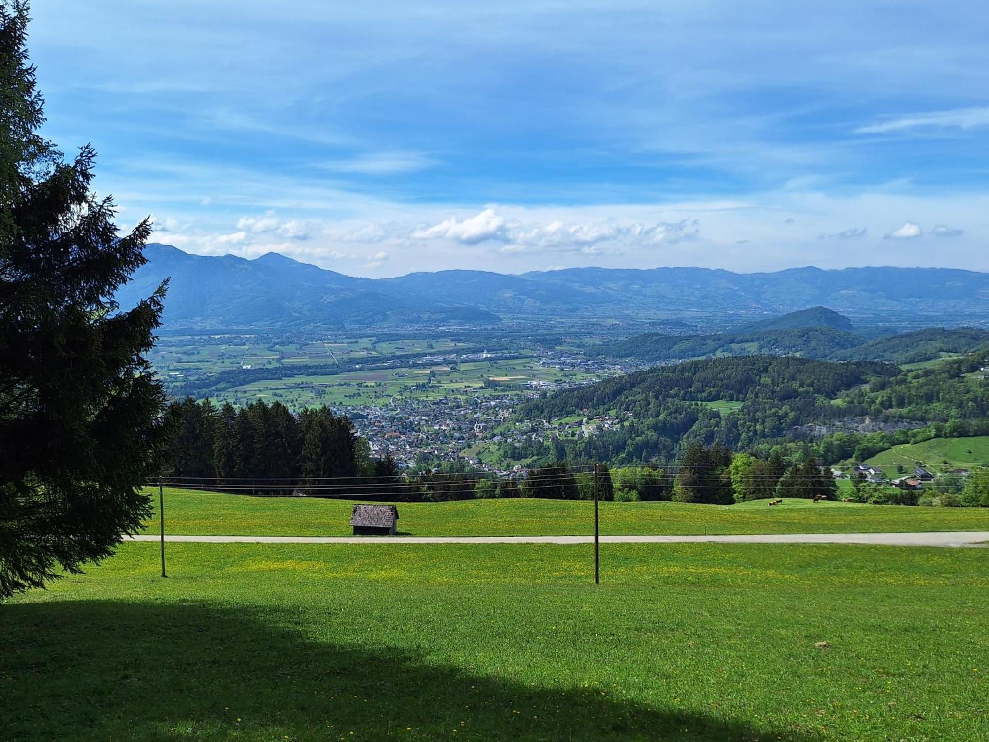 Apartment Rheintal Im Alpenvorland Batschuns Eksteriør bilde