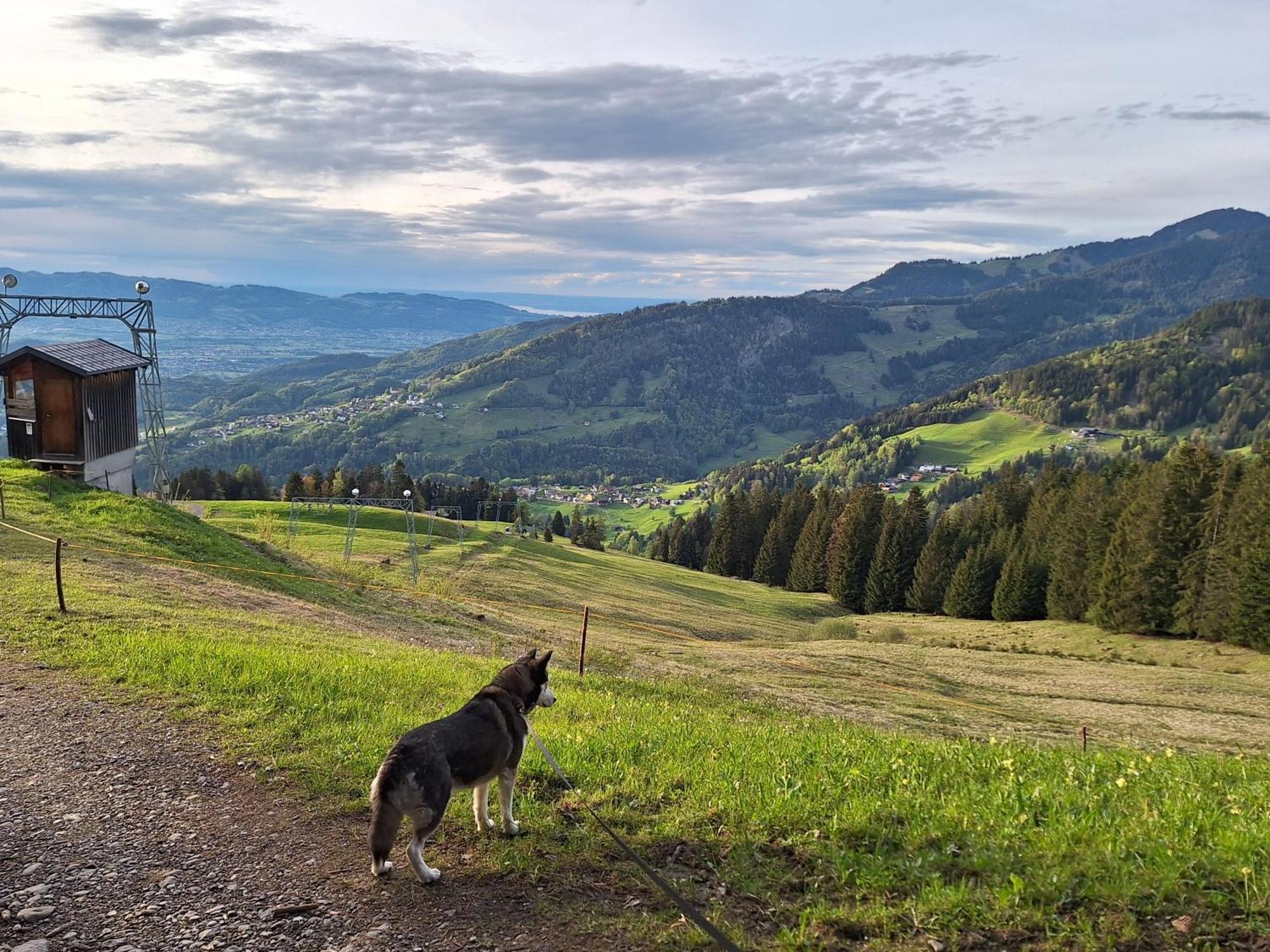 Apartment Rheintal Im Alpenvorland Batschuns Eksteriør bilde