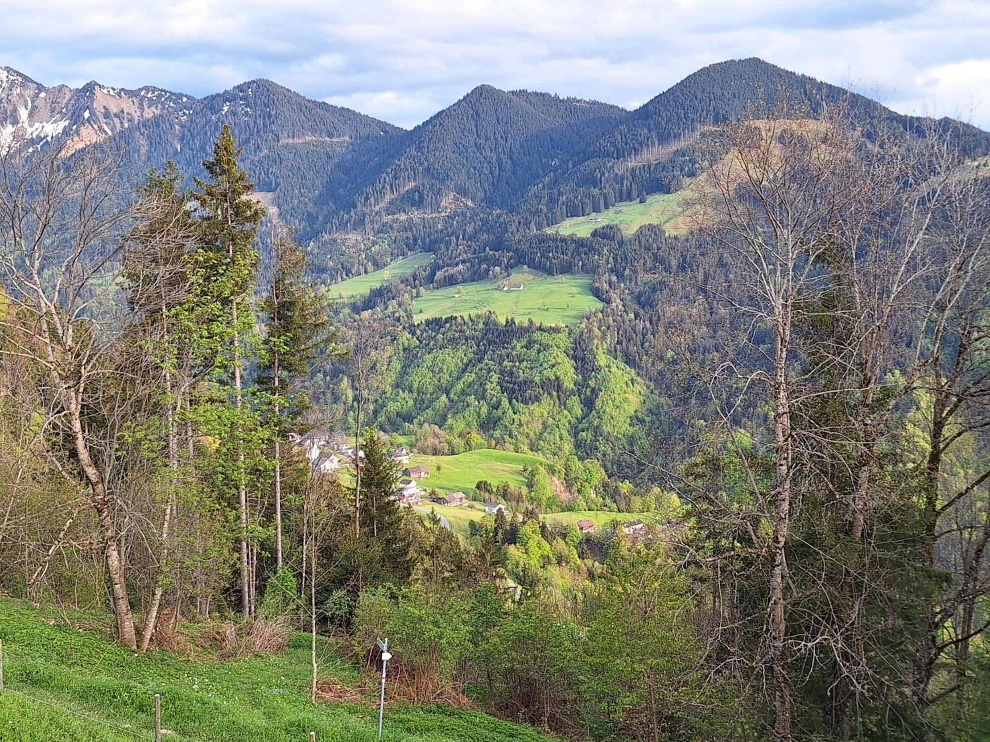 Apartment Rheintal Im Alpenvorland Batschuns Eksteriør bilde