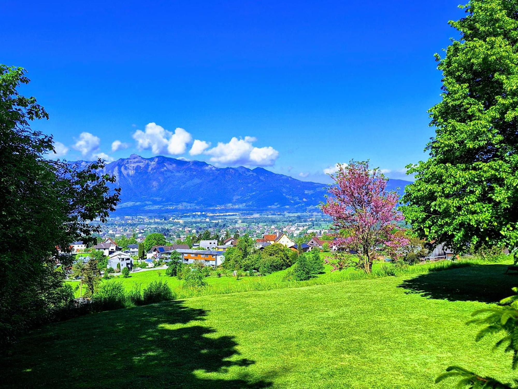Apartment Rheintal Im Alpenvorland Batschuns Eksteriør bilde